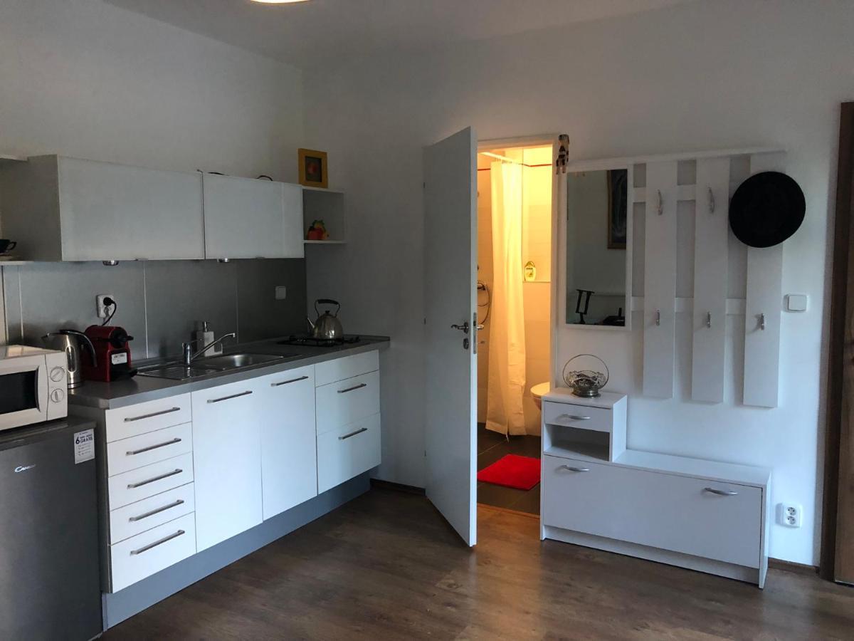 Apartman U Jezirka Velke Prilepy エクステリア 写真