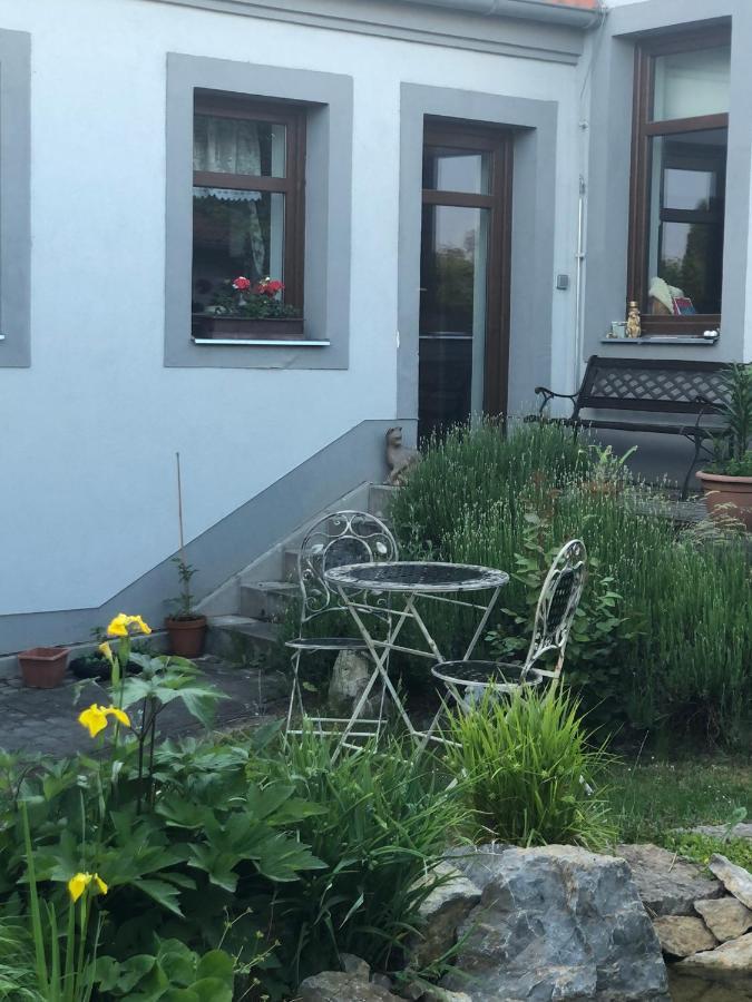 Apartman U Jezirka Velke Prilepy エクステリア 写真